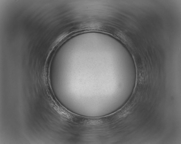 X0000057061074200509120842