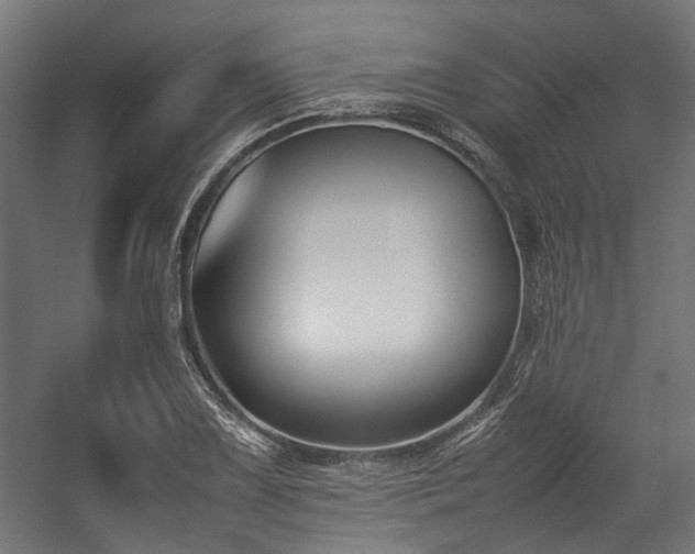 X0000057061075200509120842