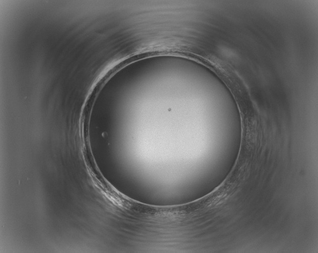 X0000057061078200509120842