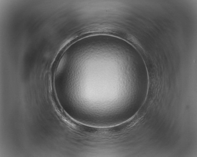 X0000057061079200509120842