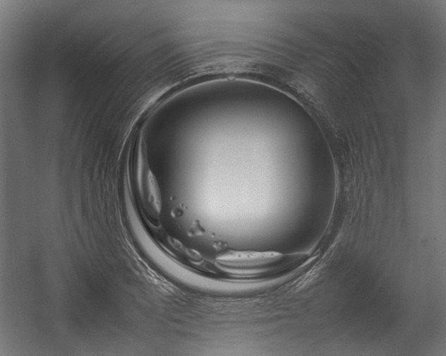 X0000057061081200509120842