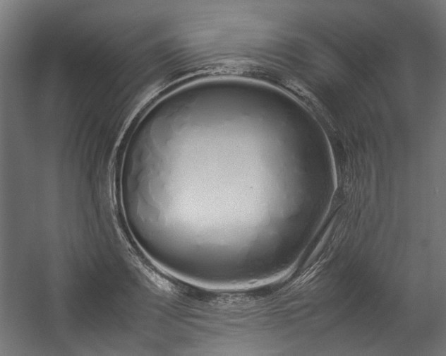 X0000057061083200509120842