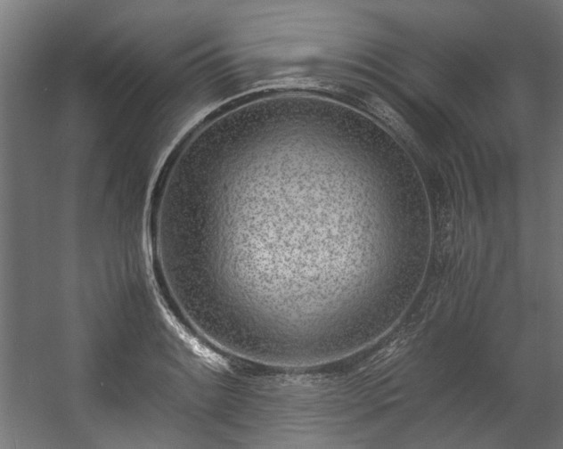 X0000057061084200509120842