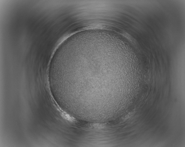 X0000057061086200509120842