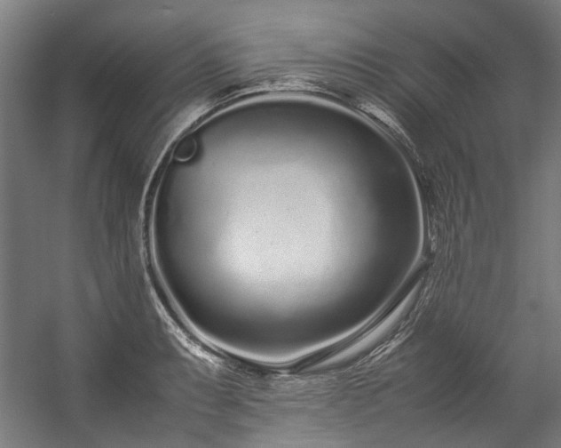 X0000057061087200509120842