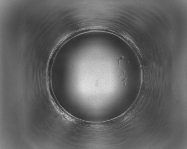 X0000057061088200509120842