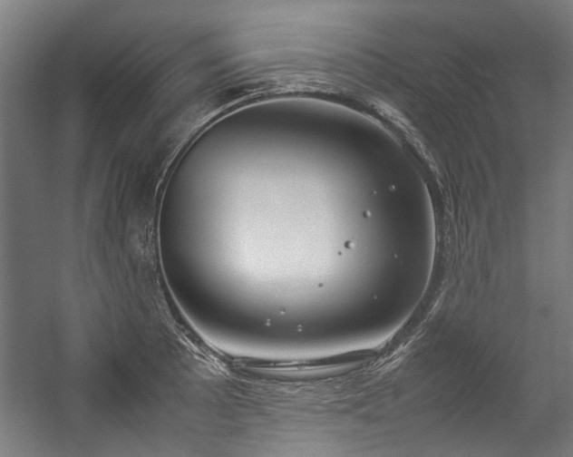 X0000057061089200509120842