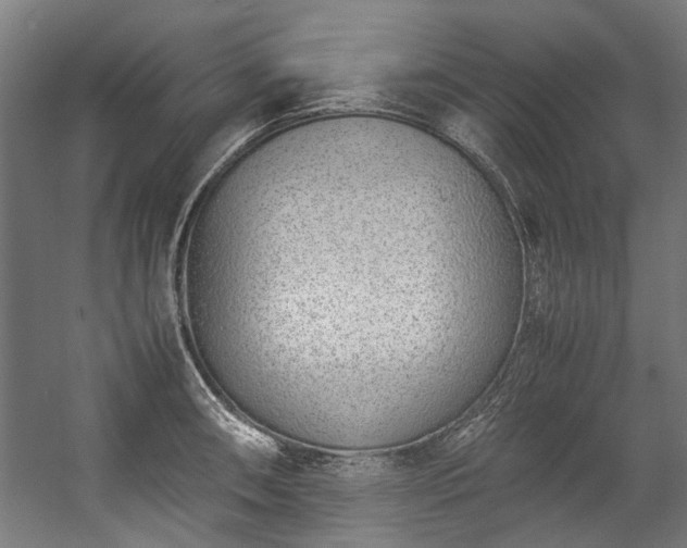 X0000057061090200509120842