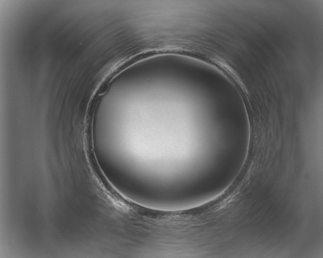 X0000057061093200509120842