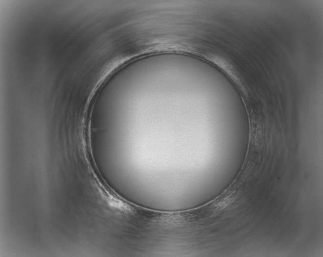 X0000057061094200509120842