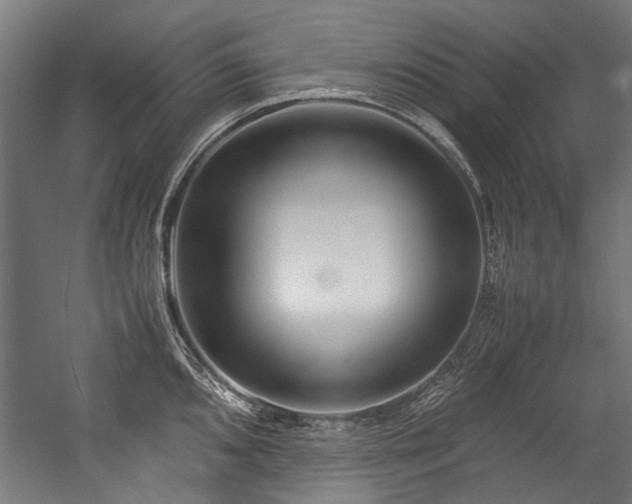 X0000057061096200509120842