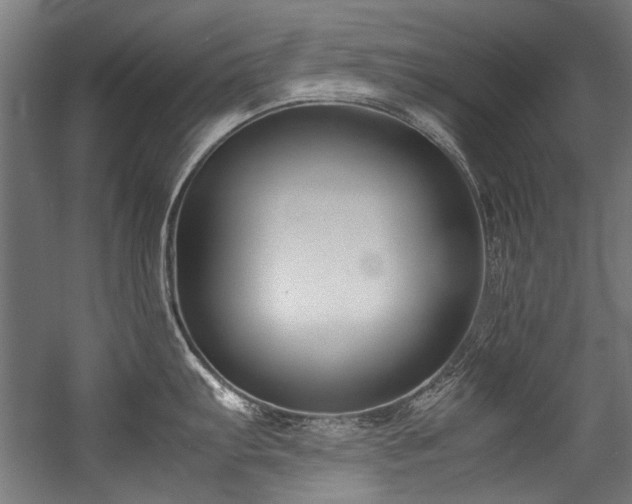 X0000057061103200509120842