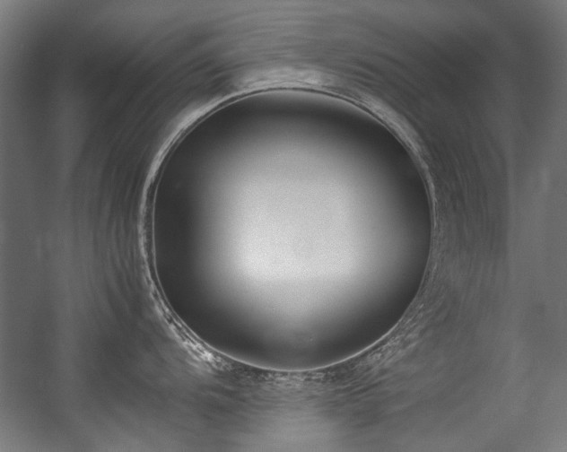 X0000057061104200509120841