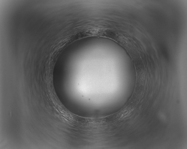 X0000057061105200509120841