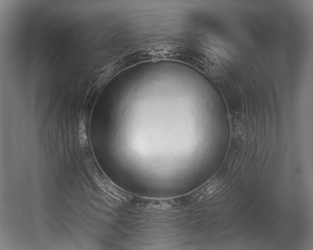 X0000057061106200509120841