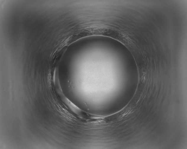 X0000057061108200509120841