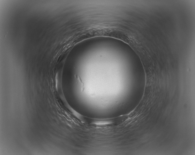 X0000057061109200509120841