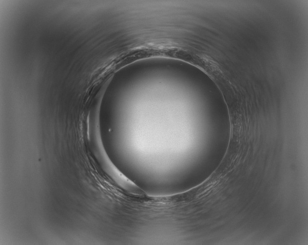 X0000057061110200509120841