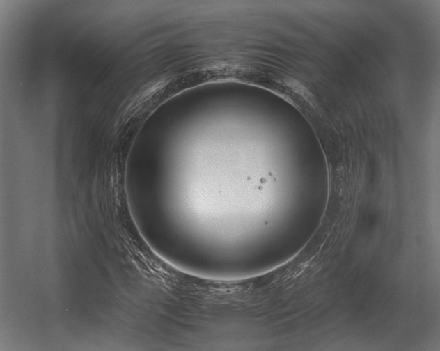 X0000057061111200509120841