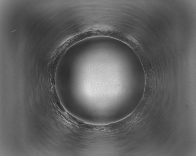 X0000057061112200509120841