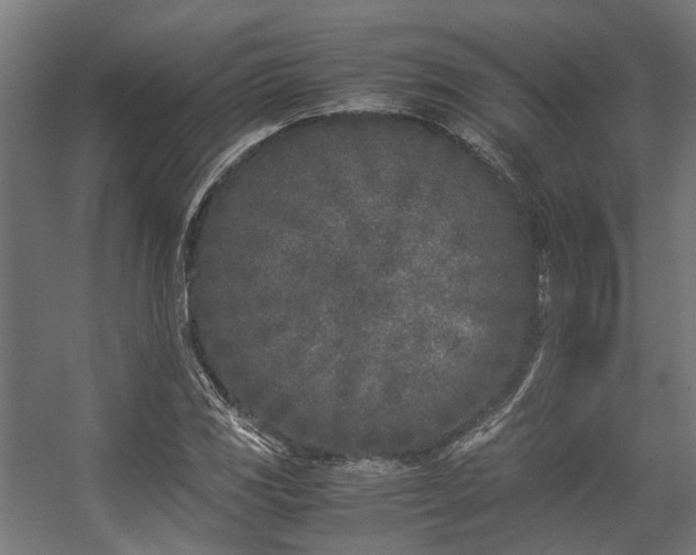 X0000057061117200509120841