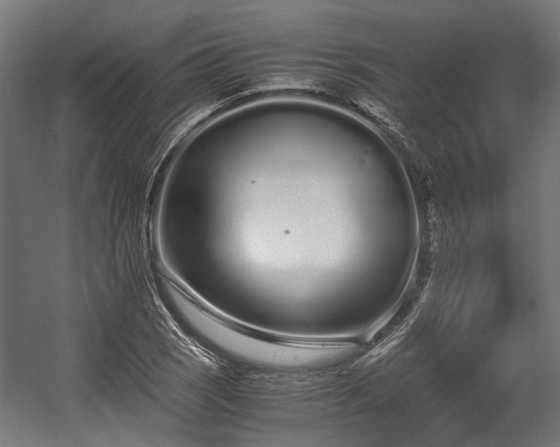 X0000057061121200509120841