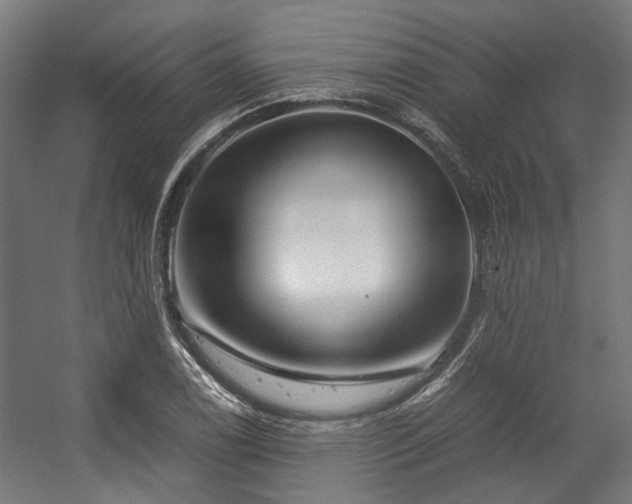 X0000057061122200509120841