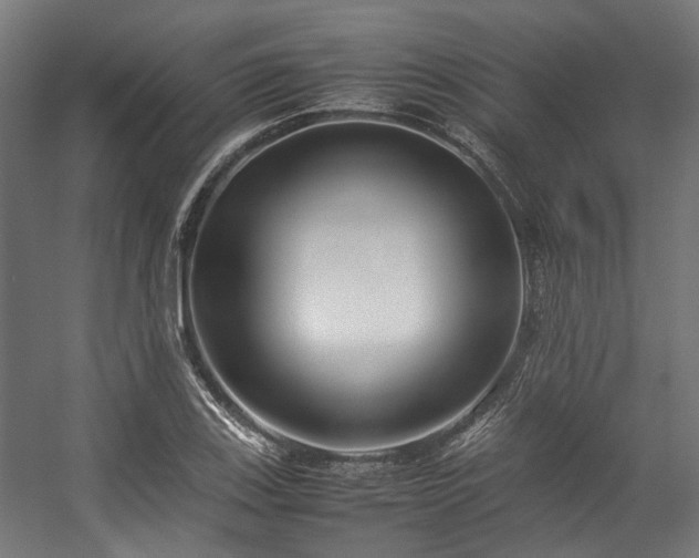 X0000057061123200509120841