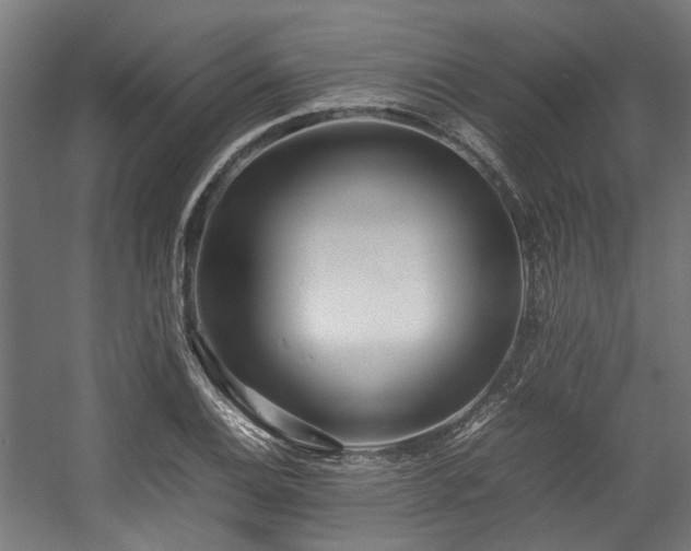 X0000057061124200509120841