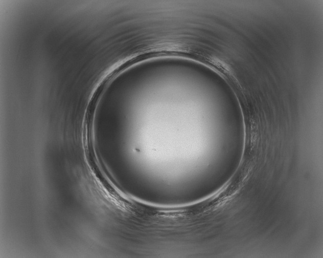 X0000057061125200509120841