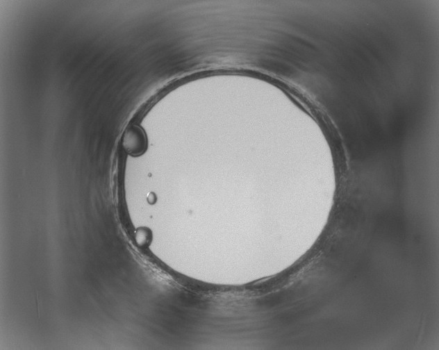 X0000057061126200509120841