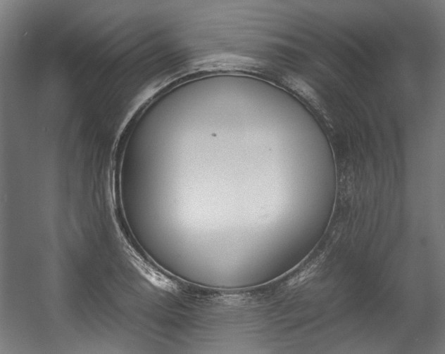 X0000057061130200509120841