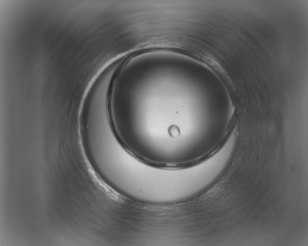 X0000057061132200509120841