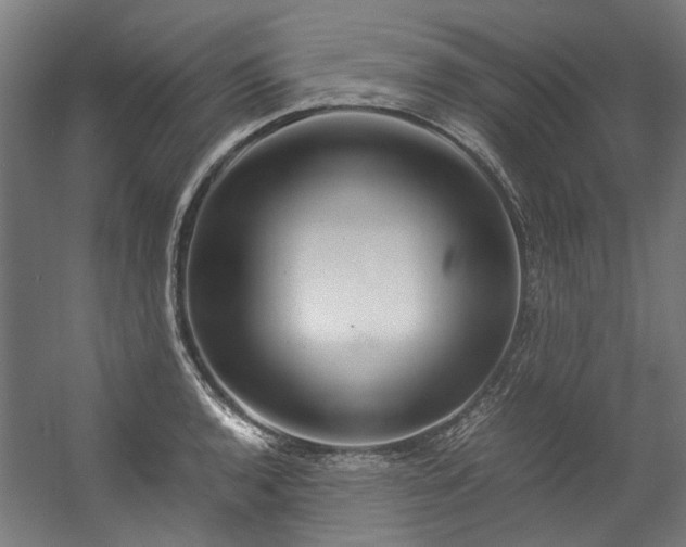 X0000057061136200509120841