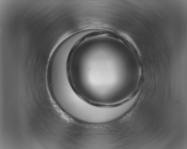 X0000057061138200509120841