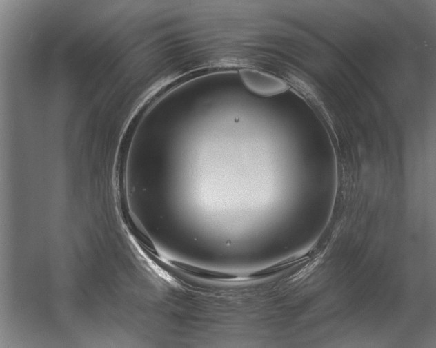 X0000057061141200509120841