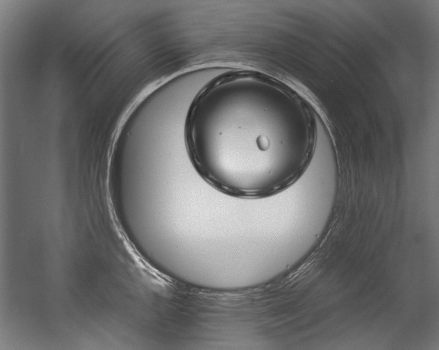 X0000057061144200509120841