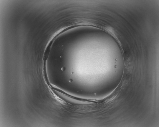 X0000057061149200509120841