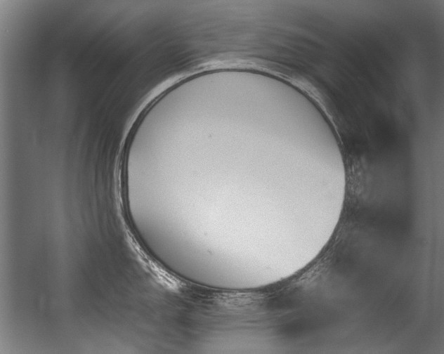 X0000057061150200509120841