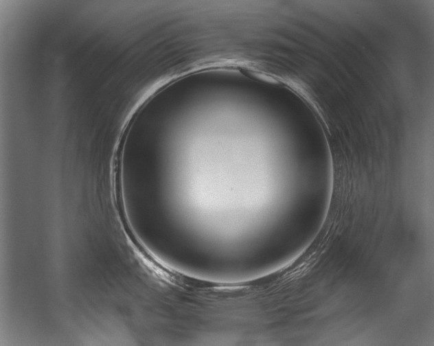 X0000057061151200509120841