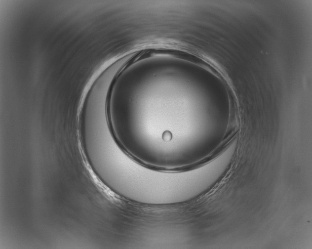 X0000057061152200509120841