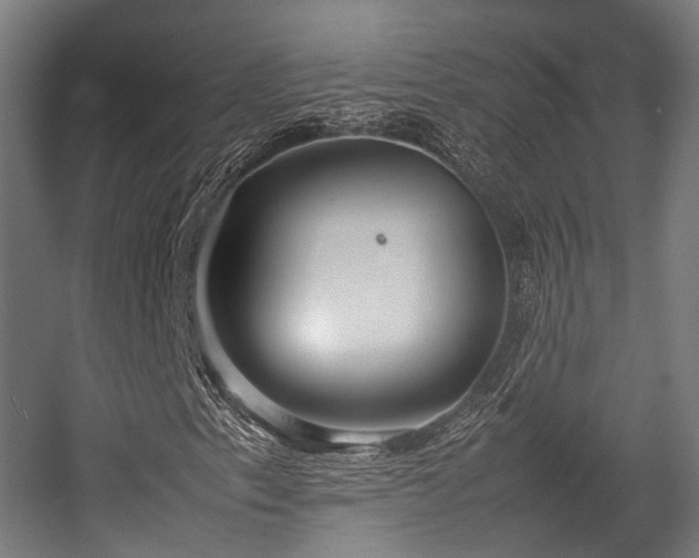 X0000057061153200509120841