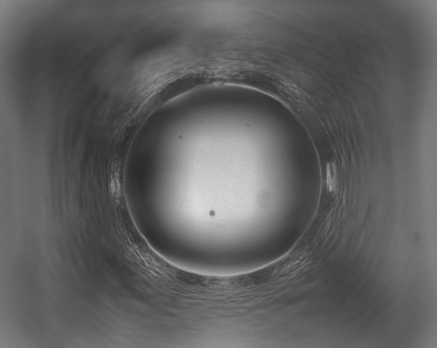 X0000057061155200509120841