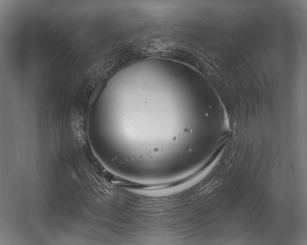 X0000057061156200509120841