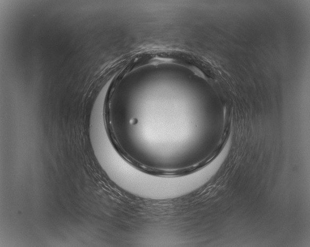 X0000057061157200509120841