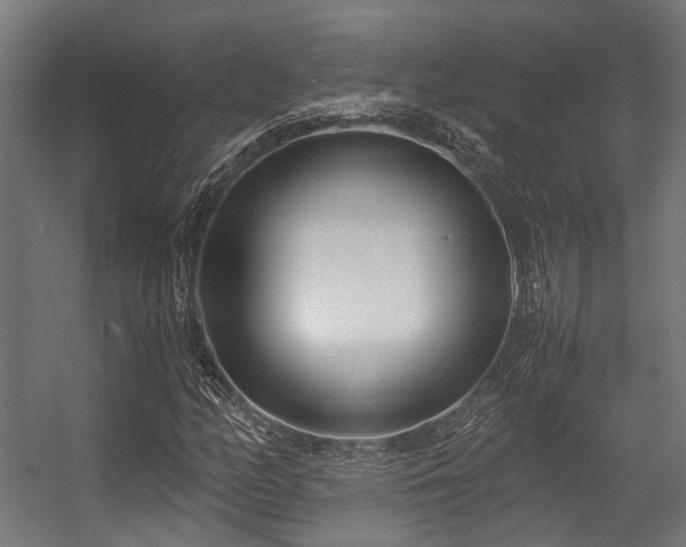 X0000057061158200509120841