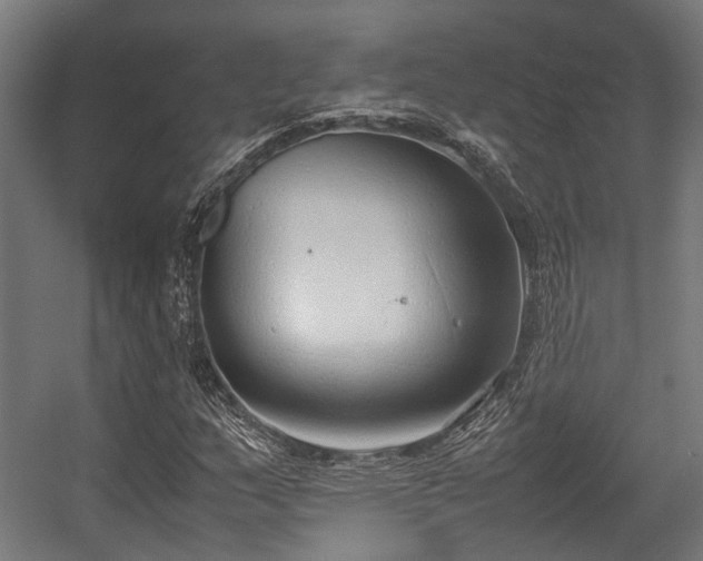 X0000057061159200509120841