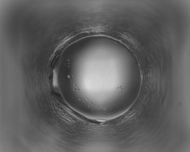 X0000057061160200509120841