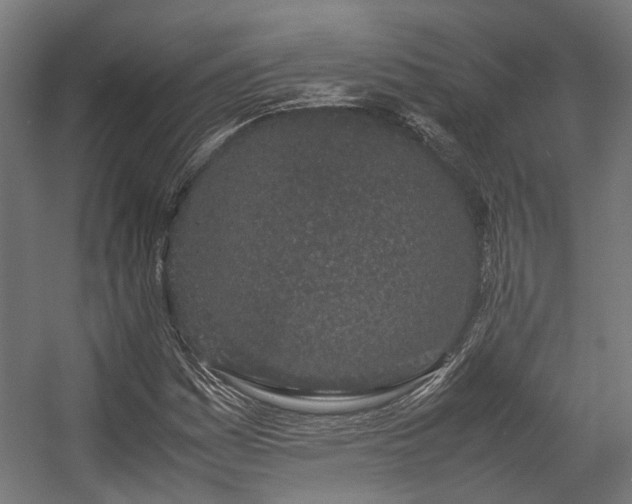 X0000057061161200509120841