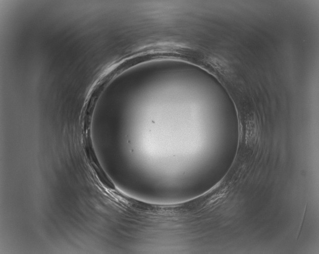 X0000057061164200509120840